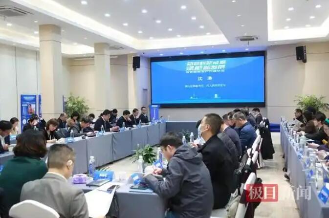 武汉市青山区召开“新材料新能源赋能新发展”——培育新质生产力座谈活动